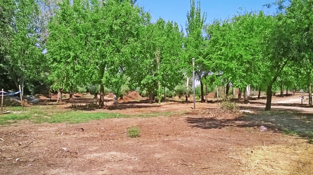 Parque de la Dehesa Boyal