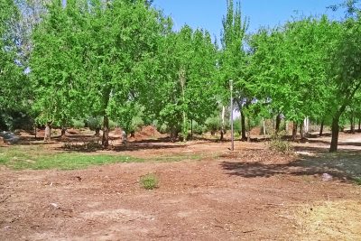 Parque de la Dehesa Boyal